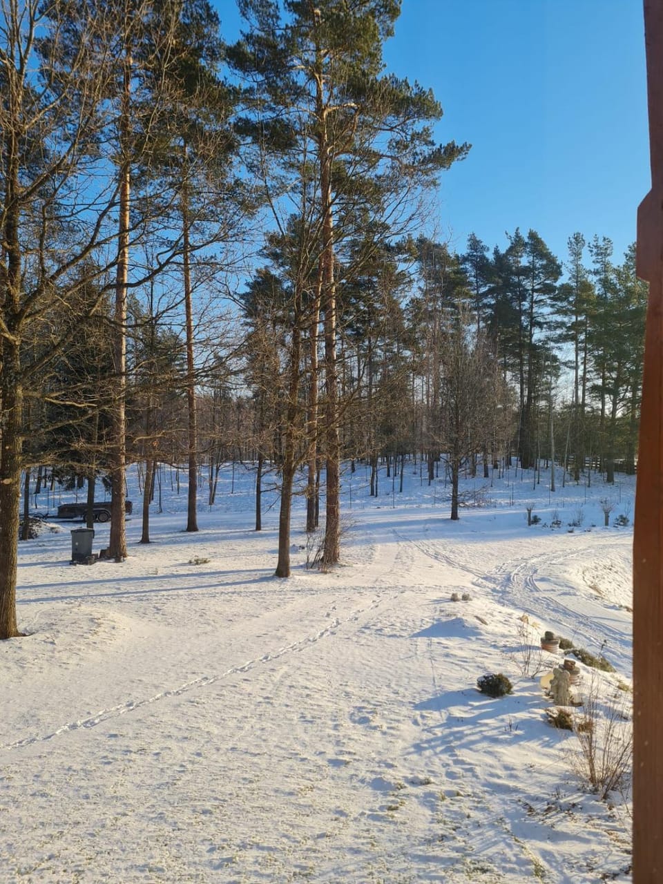 Garden view