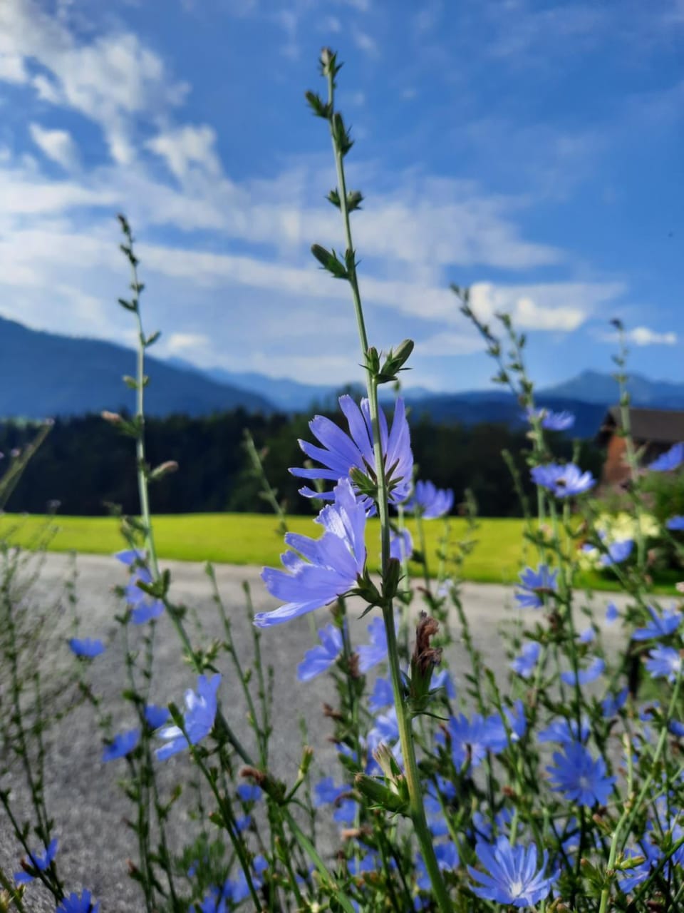Ferienhof Landerleben Apartment in Vorarlberg, Austria