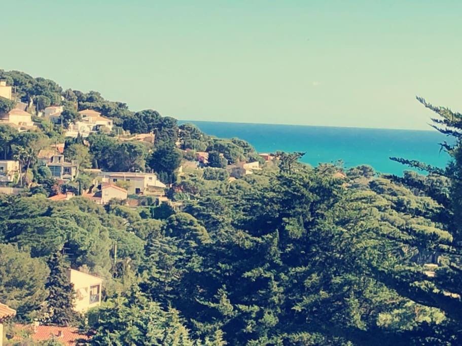 Sea view
