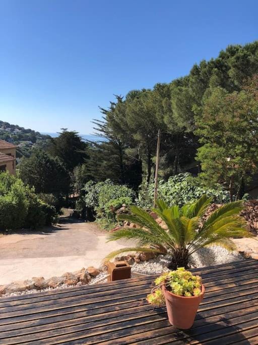 Dining area, Garden view