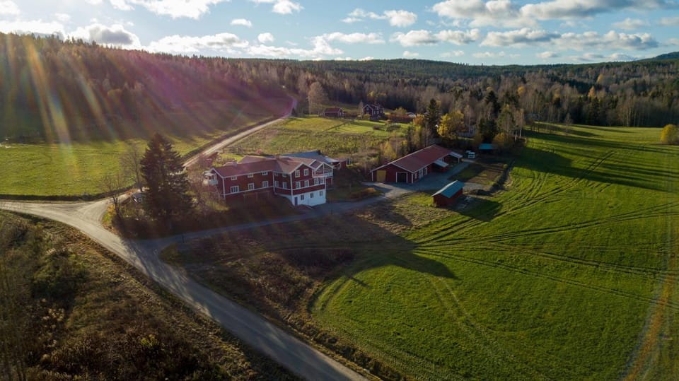Property building, Bird's eye view
