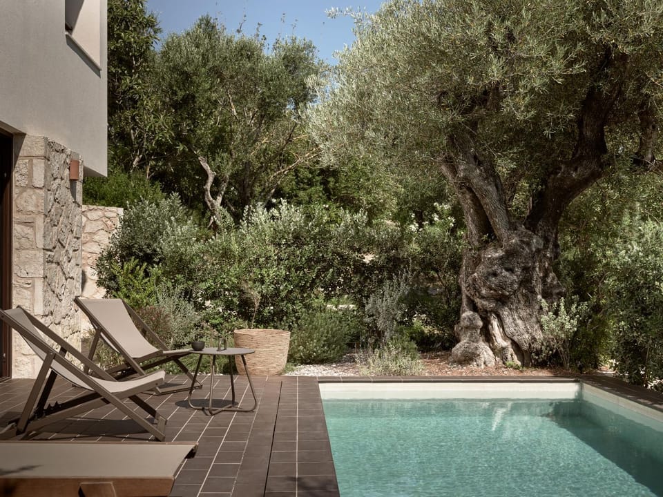 Natural landscape, Swimming pool, sunbed