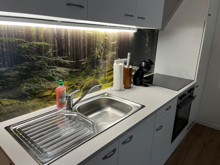 Coffee/tea facilities, Kitchen or kitchenette, stove