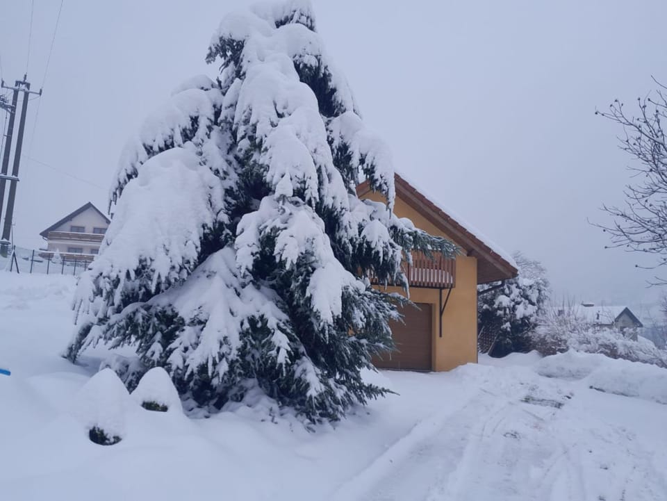 Property building, Winter