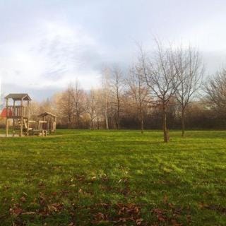 Staff, Natural landscape, Children play ground, children