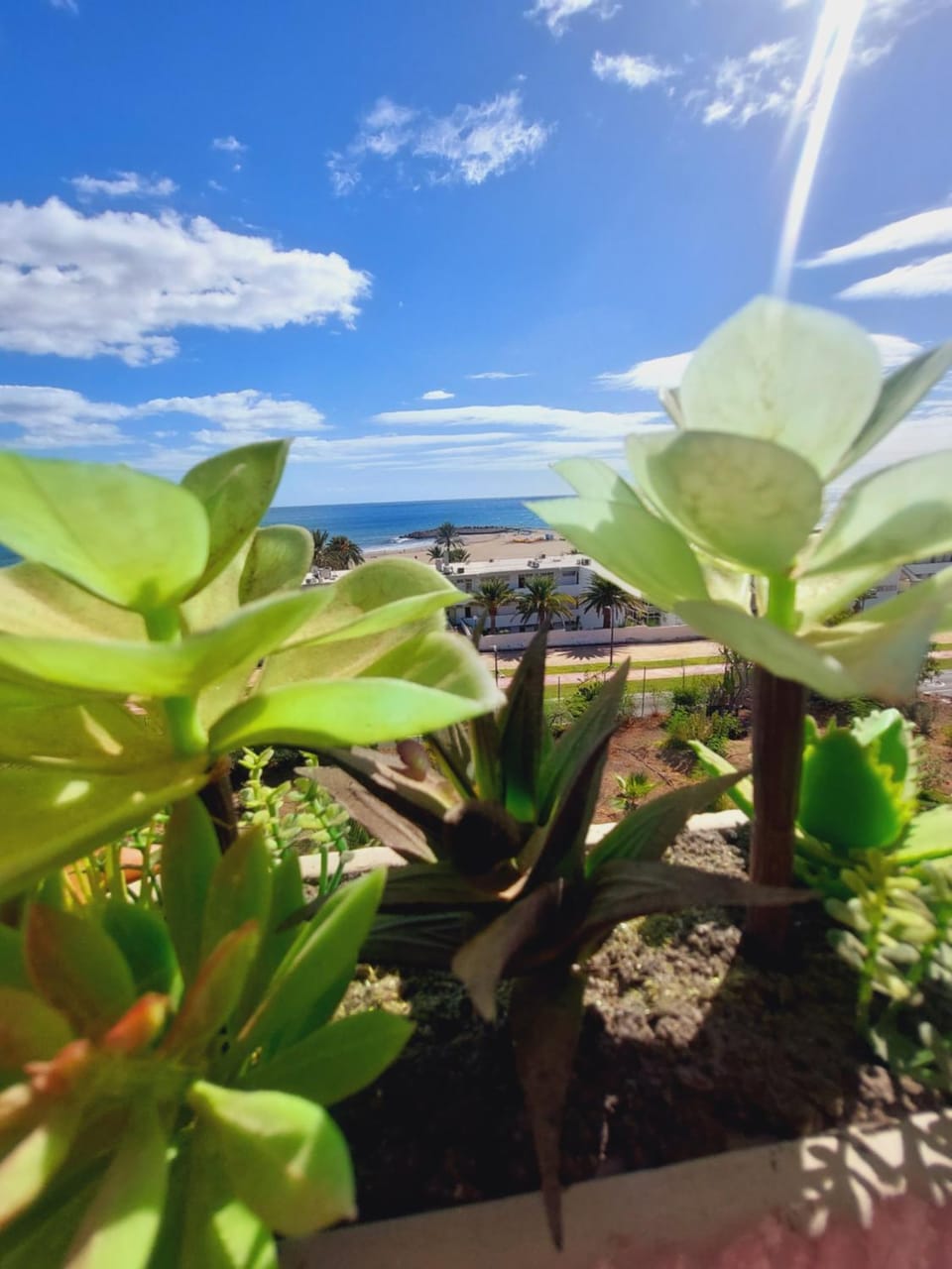 Sea view