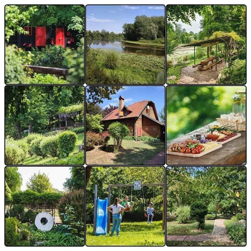 Day, Natural landscape, Garden, Garden view