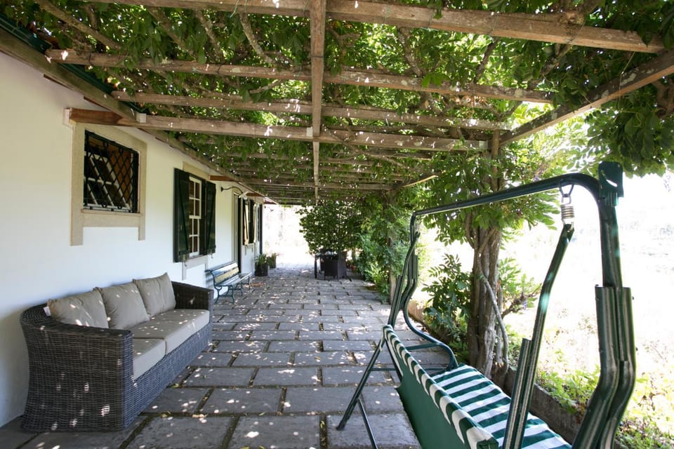 Garden, Balcony/Terrace