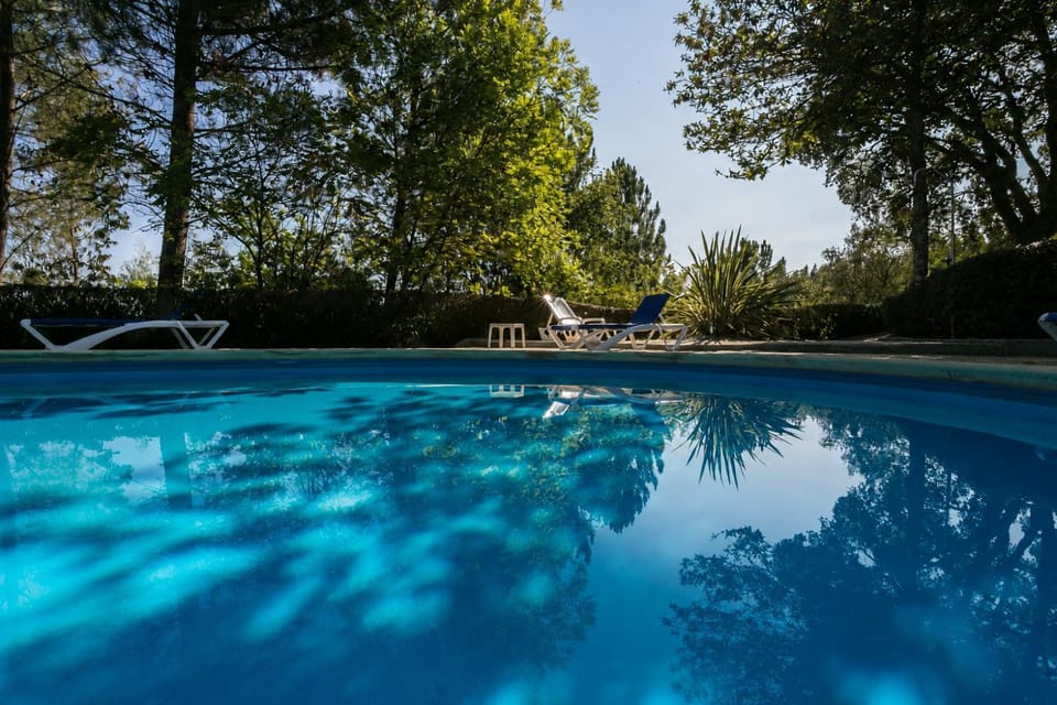 Pool view, Swimming pool, sunbed