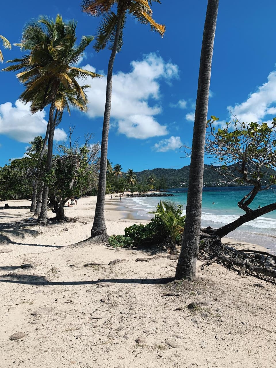 Natural landscape, Beach, Hiking