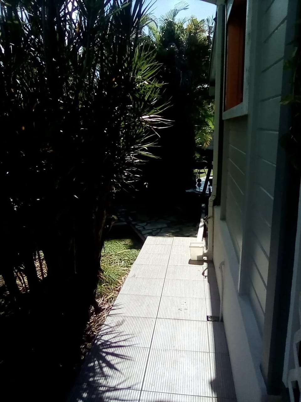 Garden view