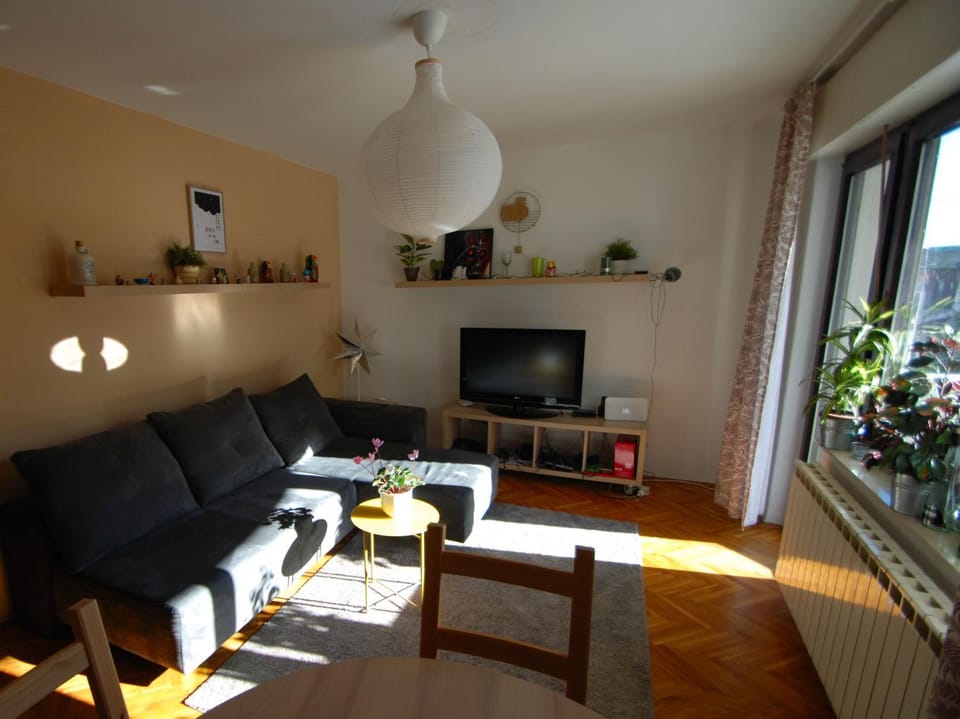TV and multimedia, Living room