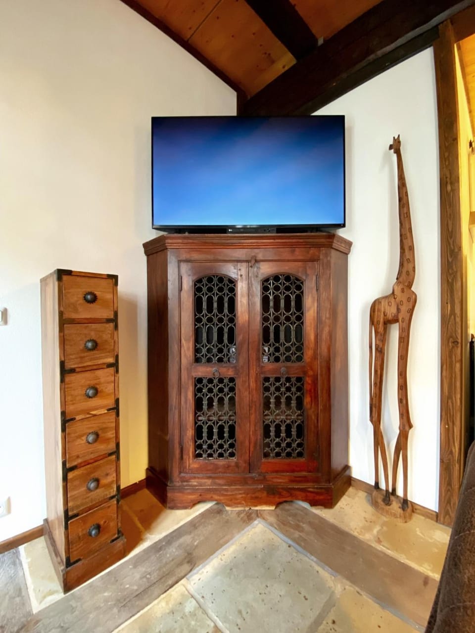 TV and multimedia