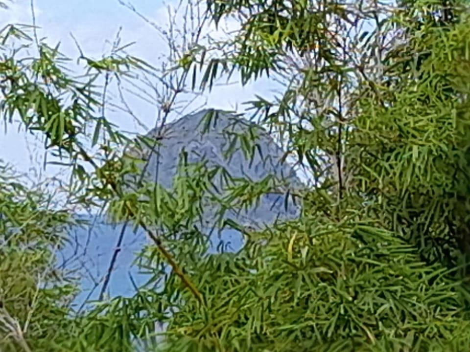 Natural landscape