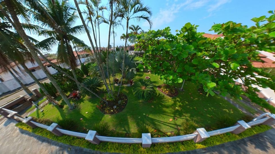 Day, Natural landscape, Garden, Garden view