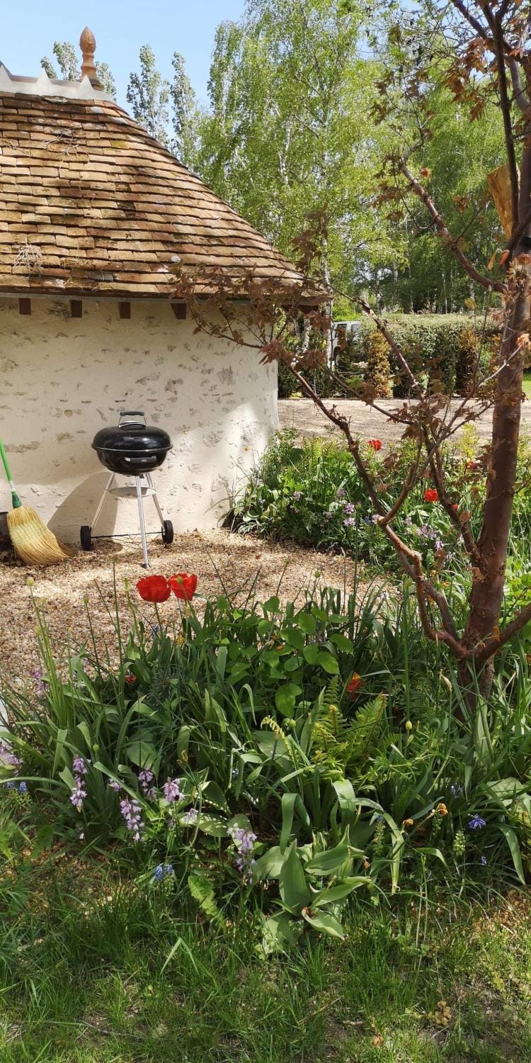 BBQ facilities, Garden