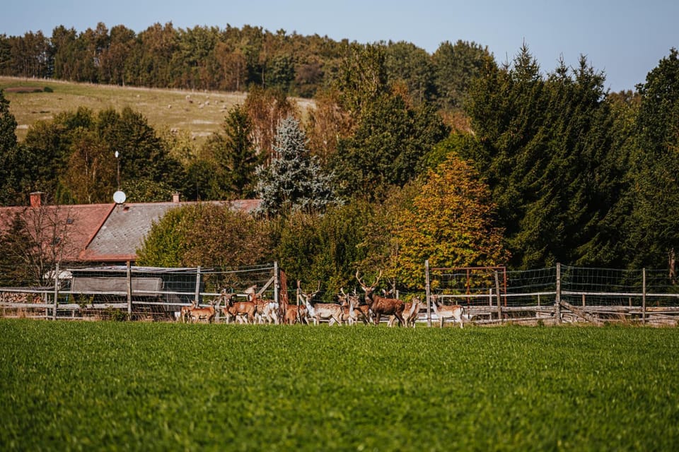 Spring, Day, Natural landscape, Garden view, Mountain view