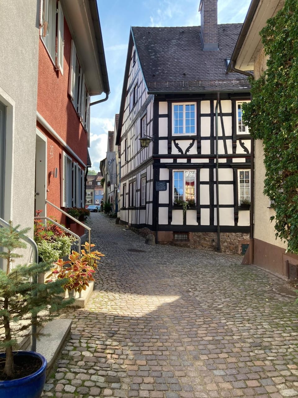 Property building