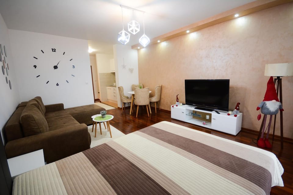 TV and multimedia