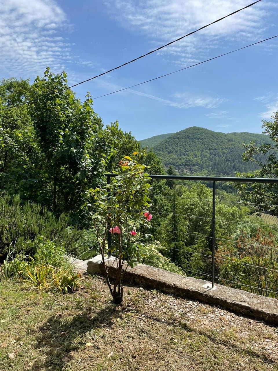 Mountain view