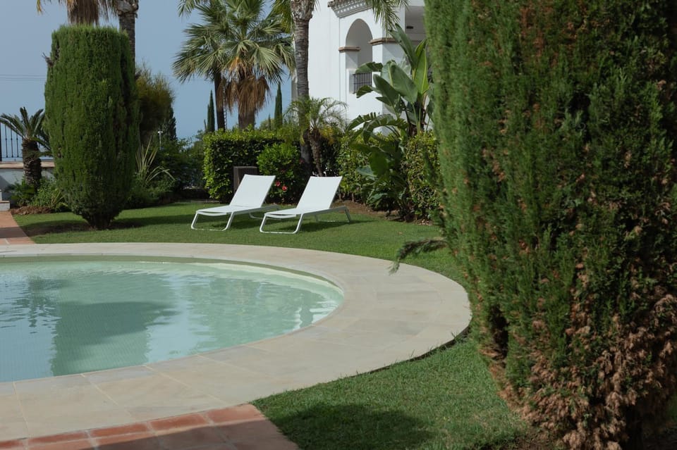 Garden, Garden view, Pool view, Swimming pool, sunbed