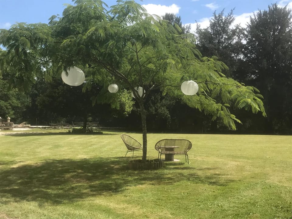 Garden view