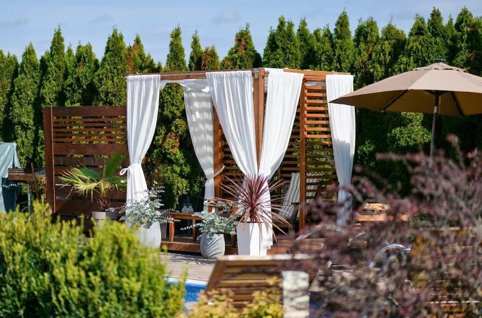 Patio, Spring, Day, Natural landscape, Garden, Garden view, Pool view