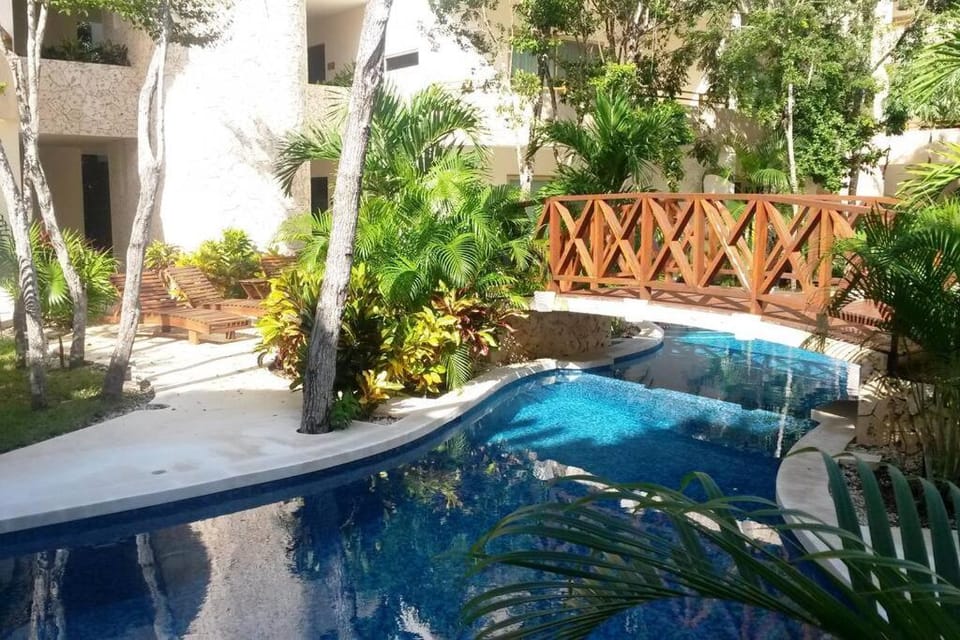 Pool view, Swimming pool