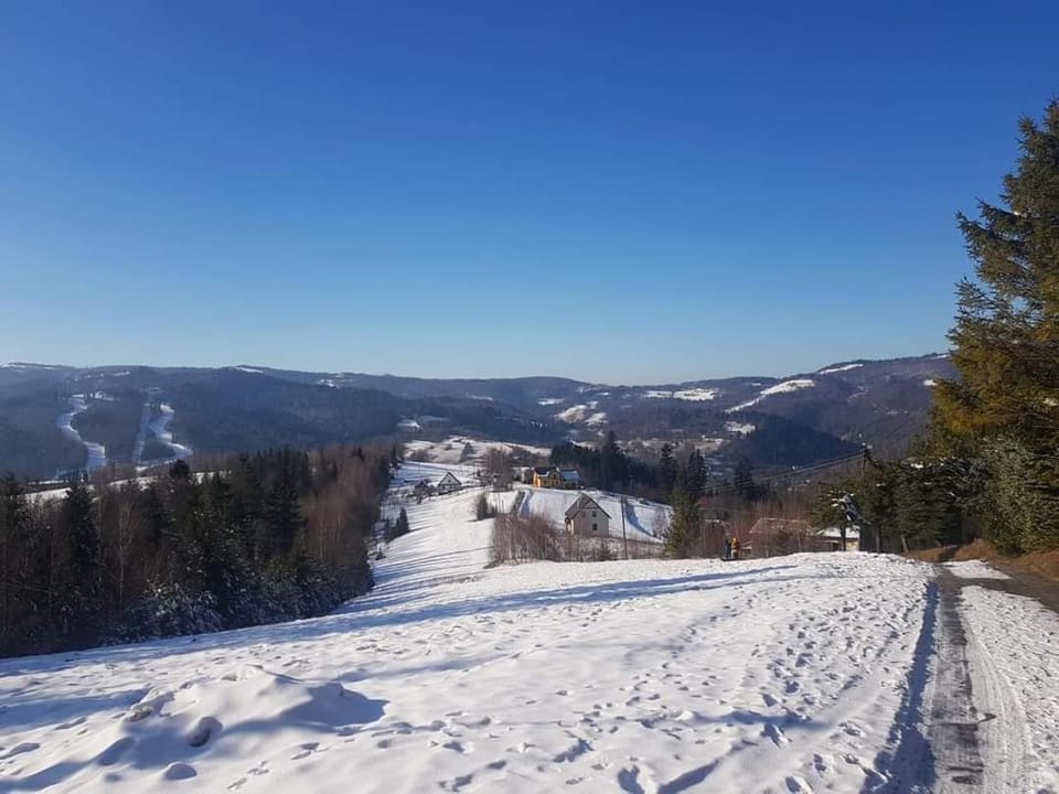 Natural landscape, Winter