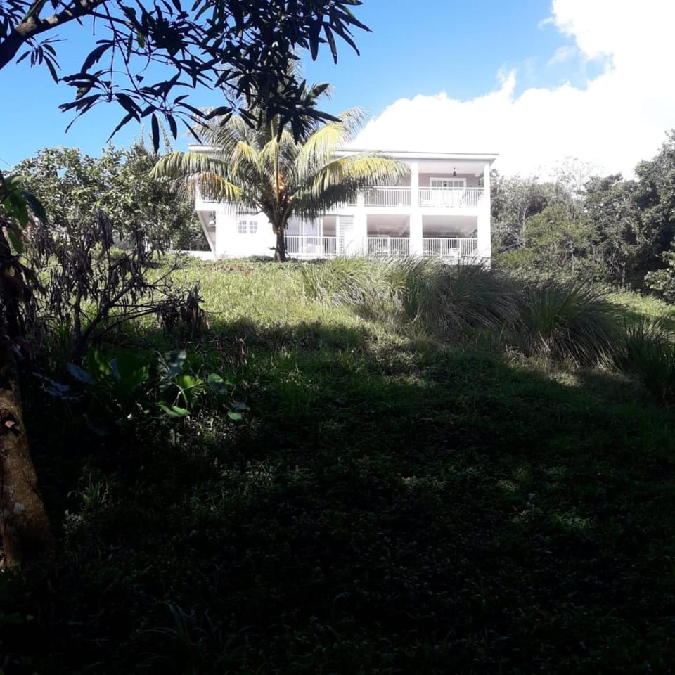 Property building, Neighbourhood