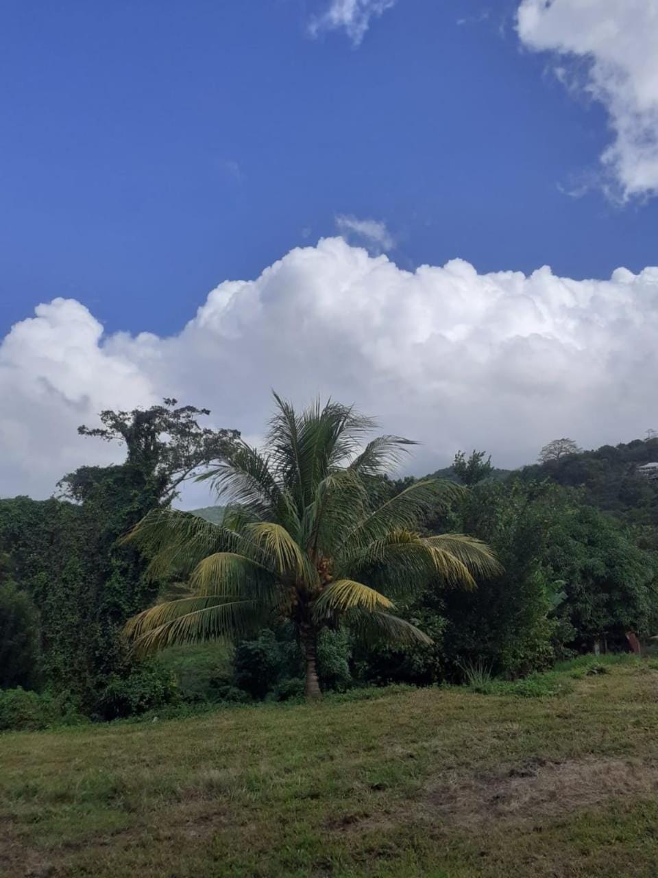 Natural landscape
