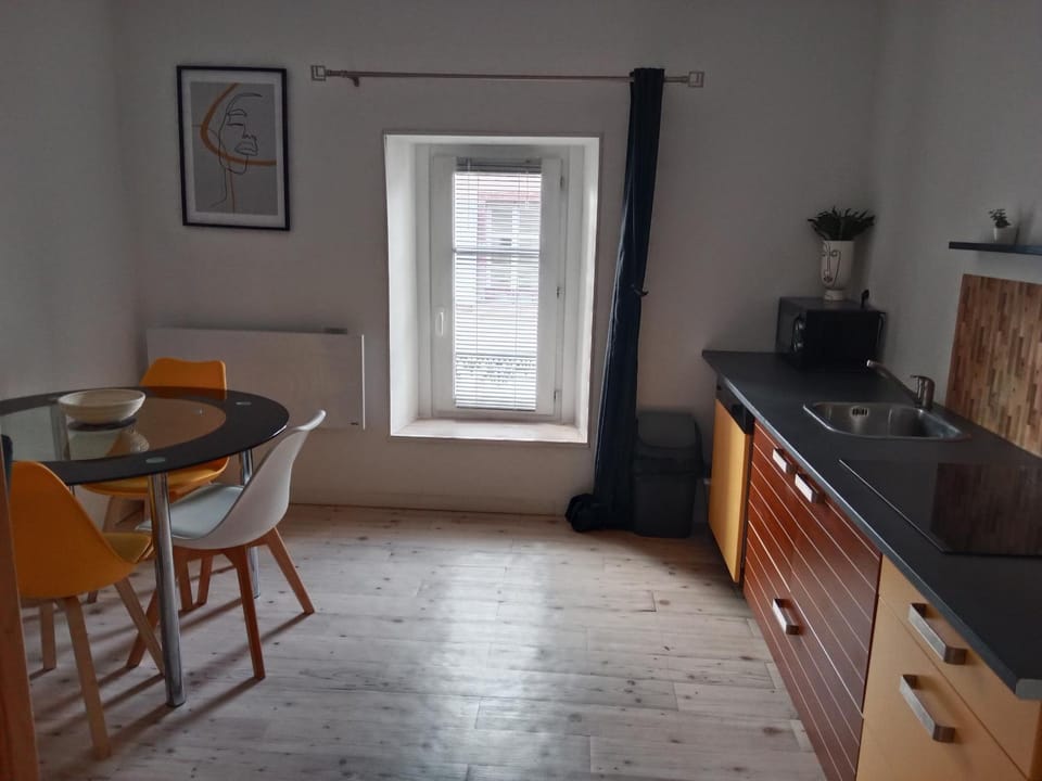 Pounette, appartement T2, centre thermes Luxeuil Apartment in Vosges