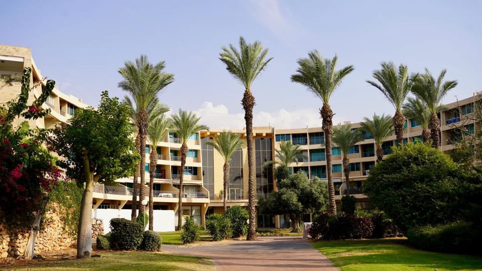 Property building, Garden view