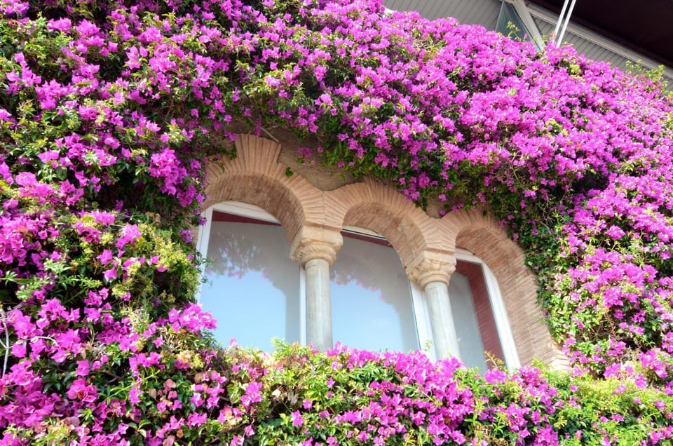 Decorative detail
