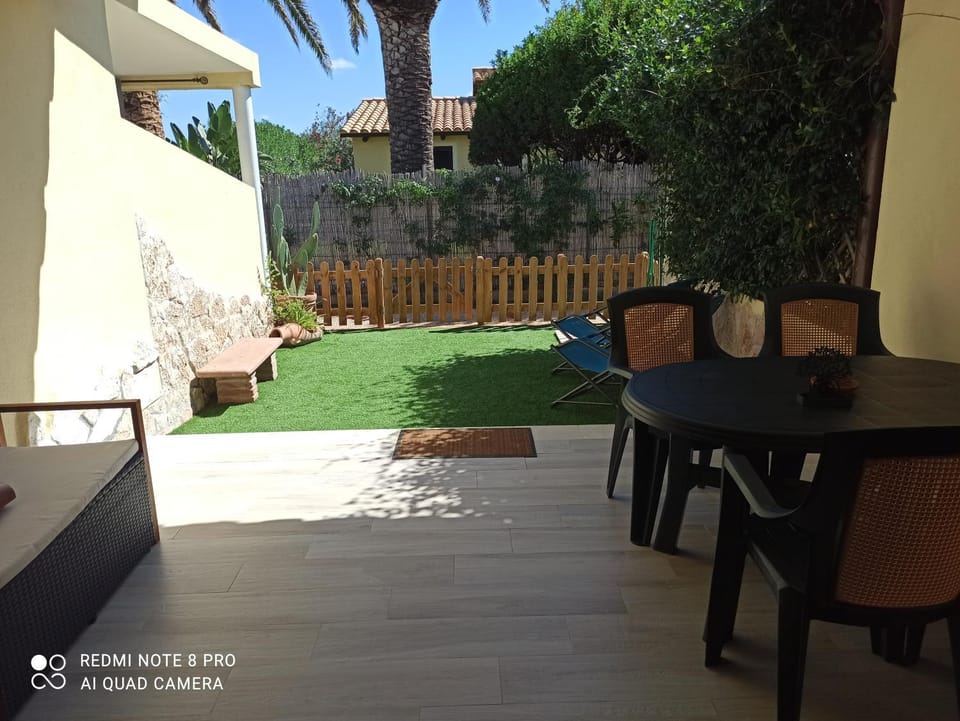 Patio, Garden, Garden view