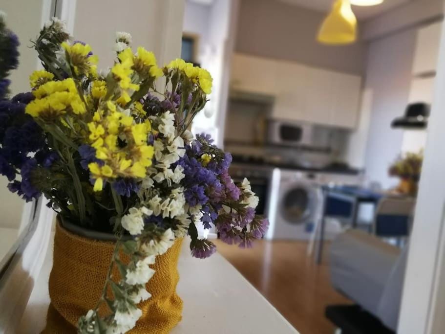 Lindo Vale House Apartment in Porto
