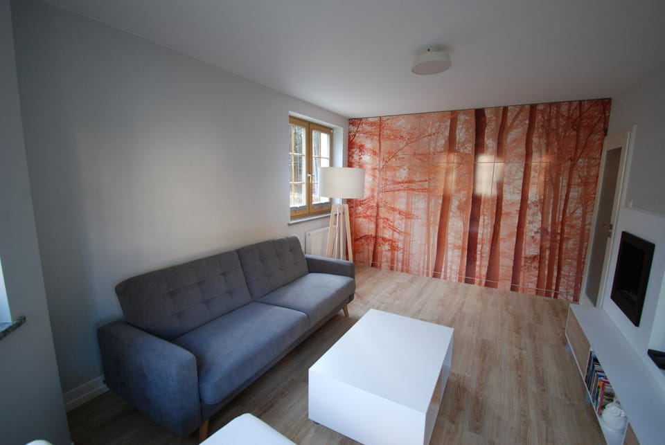 TLA Schreiberhau Apartment in Lower Silesian Voivodeship