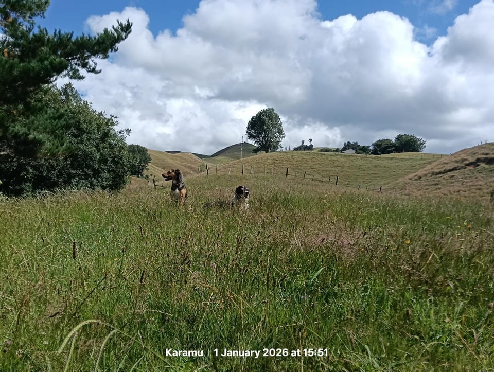Karamu Homestead Bed and Breakfast in Waikato