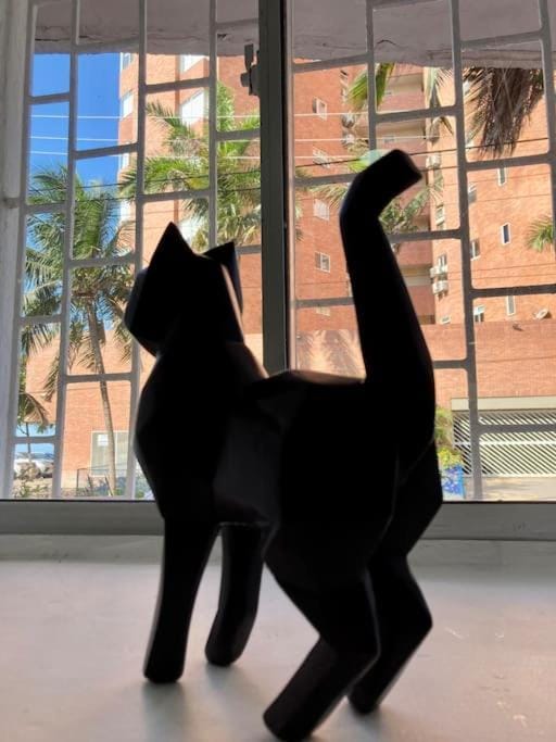 Animals, Pets