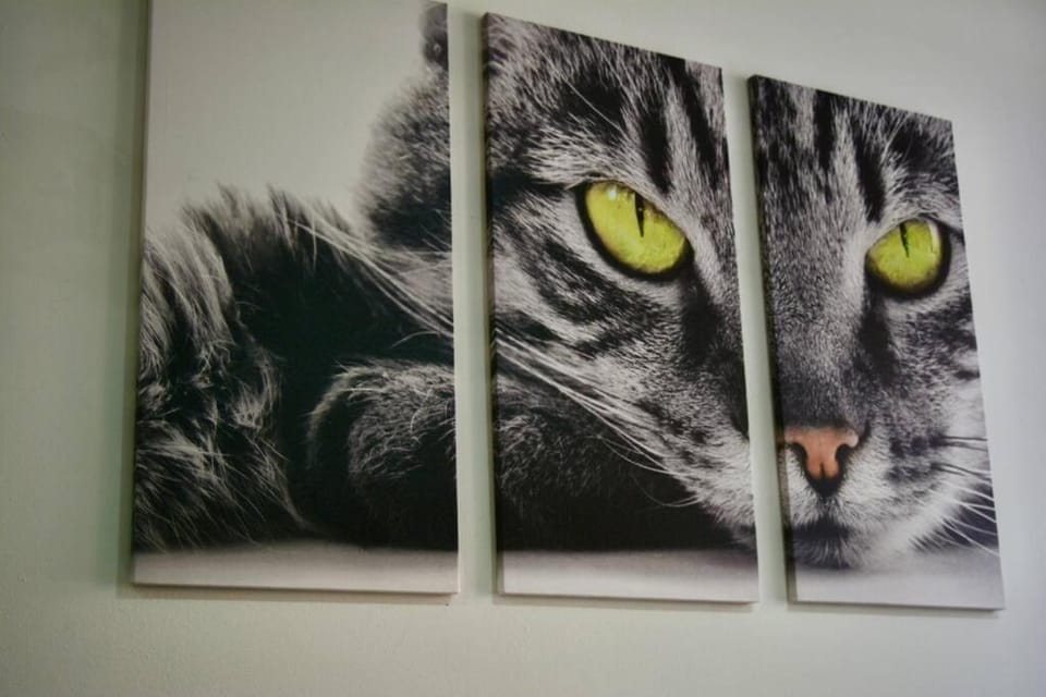 Animals, Pets
