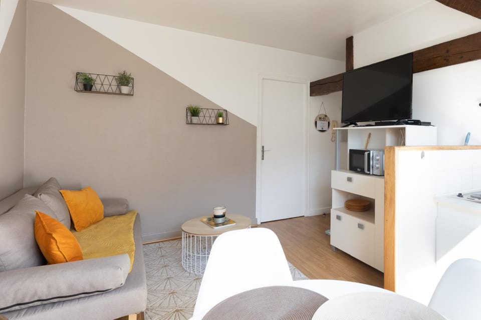 L'appart K-shmire- Cosy et spacieux, 4 pers Apartment in Le Mans
