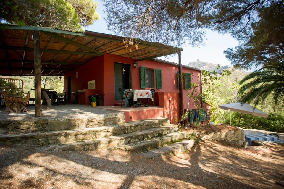 Property building, Facade/entrance, Garden