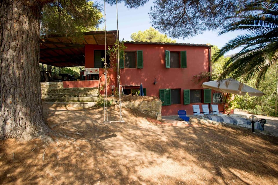 Property building, Garden