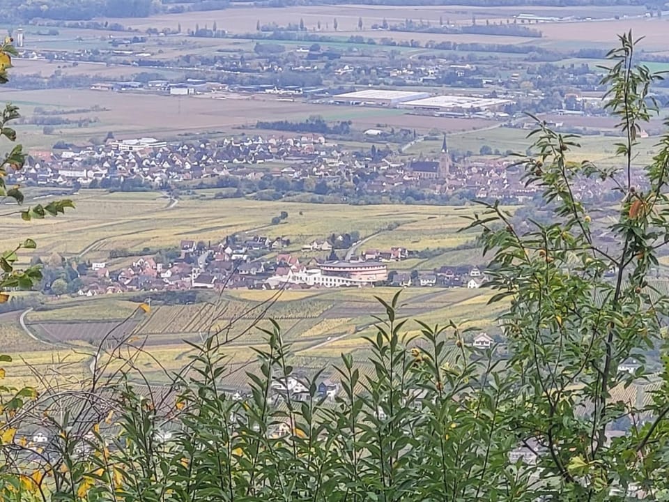 Natural landscape, Bird's eye view