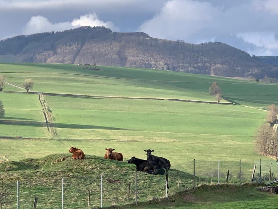 Natural landscape, View (from property/room)