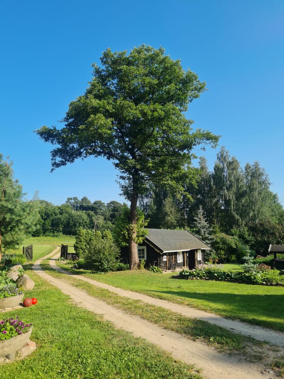 4gilės Villa in Lithuania