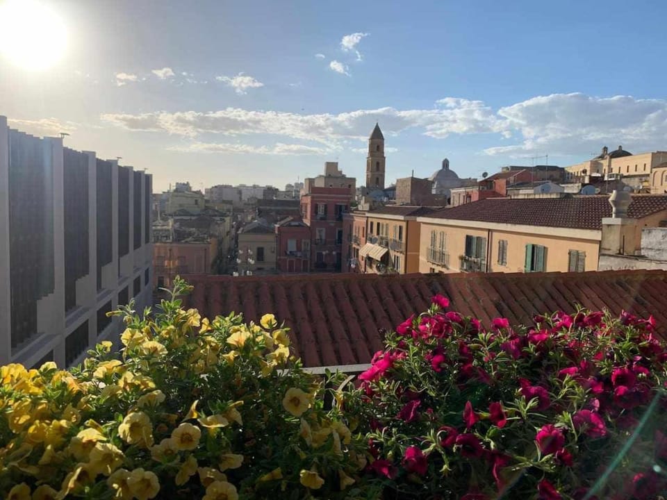 Spring, Day, City view