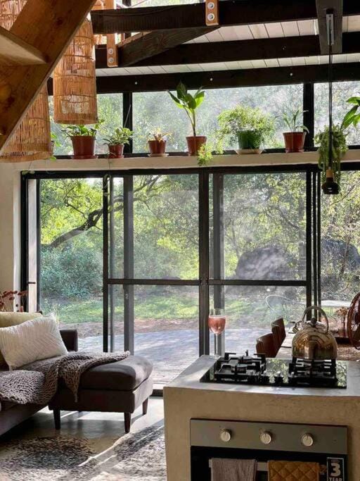 Garden view