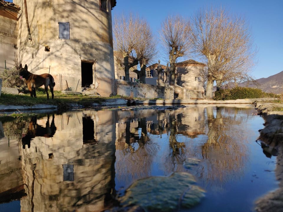 Natural landscape, Animals