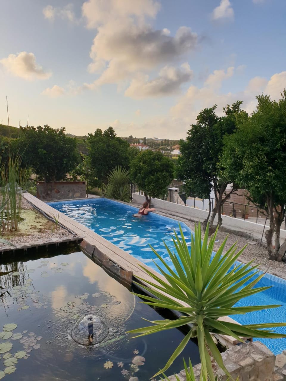 Garden view, Swimming pool